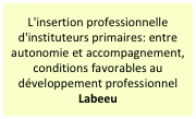 L'insertion professionnelle d'instituteurs primaires: entre autonomie et accompagnement, conditions favorables au développement professionnel
Labeeu