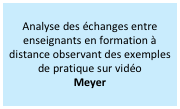 Analyse des échanges entre enseignants en formation à distance observant des exemples de pratique sur vidéo
Meyer