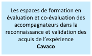 Les espaces de formation en évaluation et co-évaluation des accompagnateurs dans la reconnaissance et validation des acquis de l’expérience
Cavaco