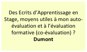 Des Ecrits d’Apprentissage en Stage, moyens utiles à mon auto-évaluation et à l’évaluation formative (co-évaluation) ?
Dumont