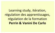 Learning study, itération, régulation des apprentissages, régulation de la formation
Perrin & Vanini De Carlo