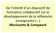 De l’intérêt d’un dispositif de formation collaboratif sur le développement de la réflexivité enseignante (...)
Morissette & Compaoré